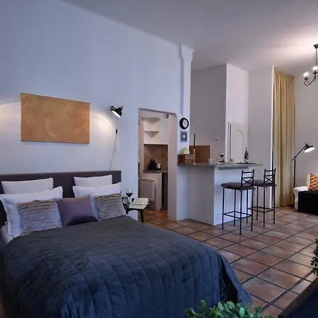 Down Town Apartment